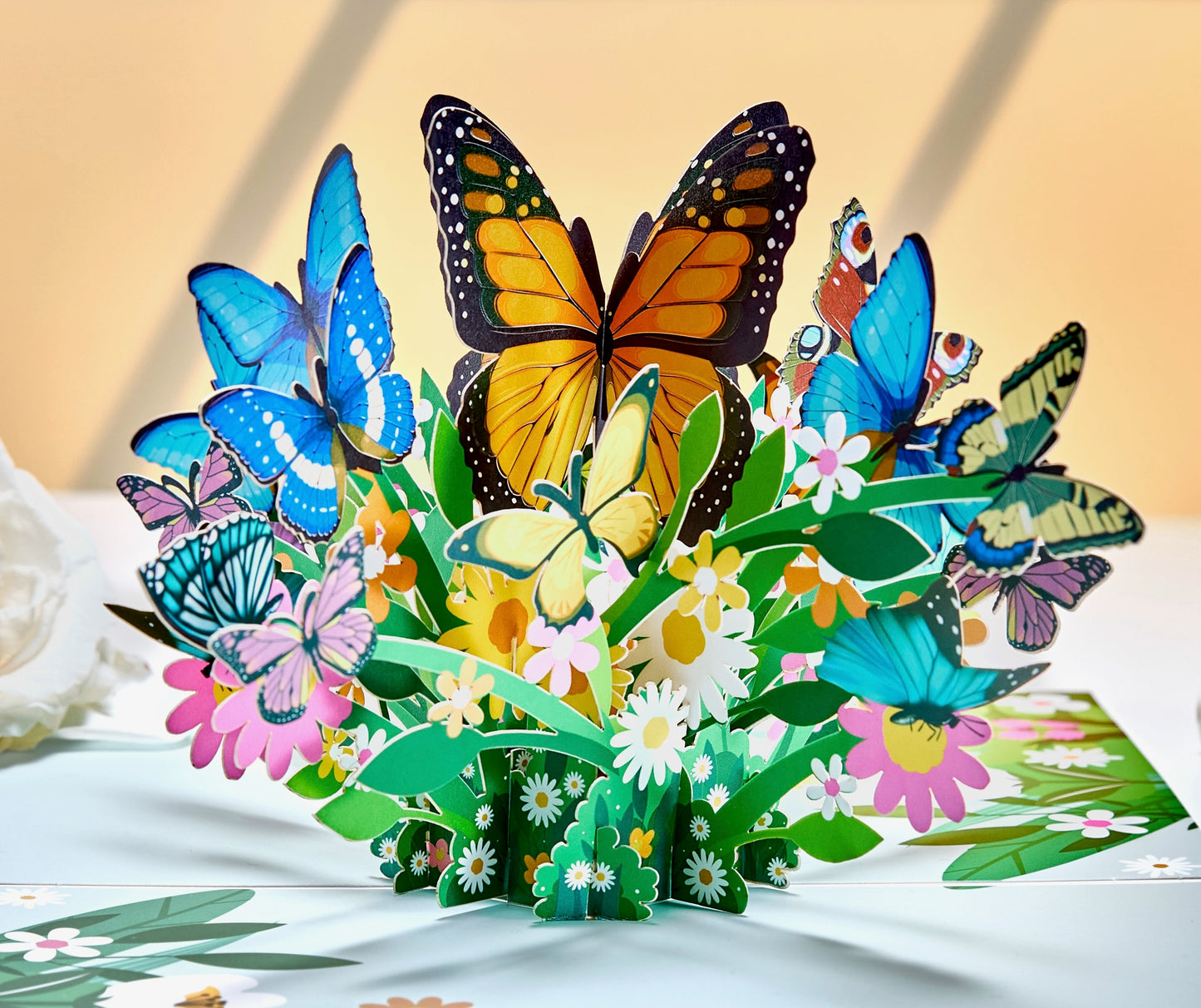 Butterfly Garden