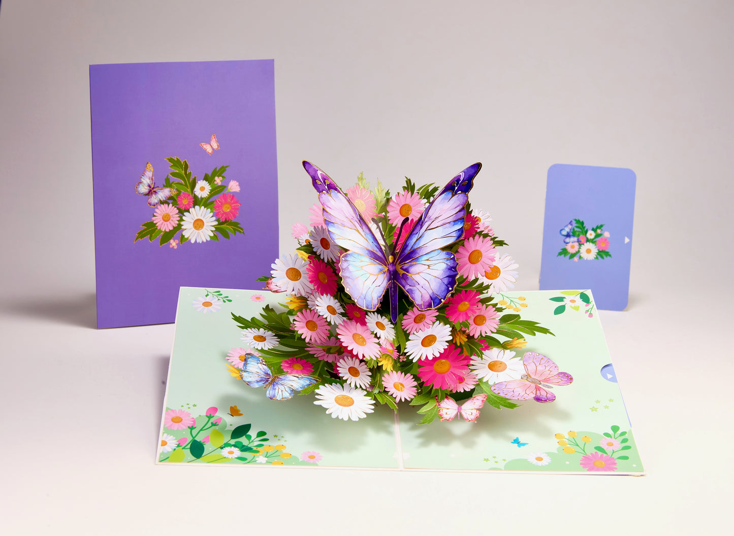 Purple Butterfly With Wild Daisy