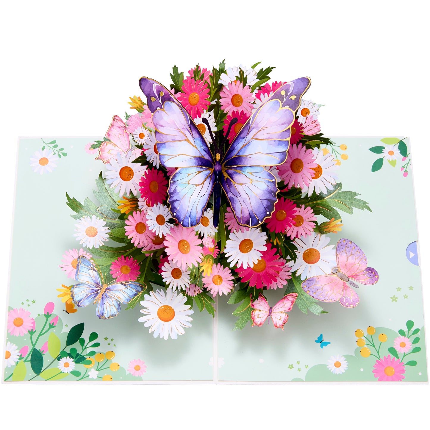 Purple Butterfly With Wild Daisy