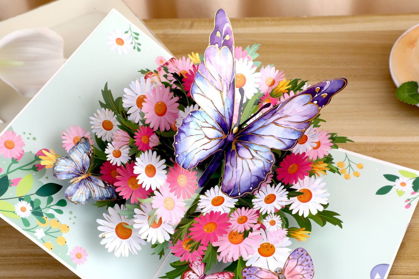 Purple Butterfly With Wild Daisy